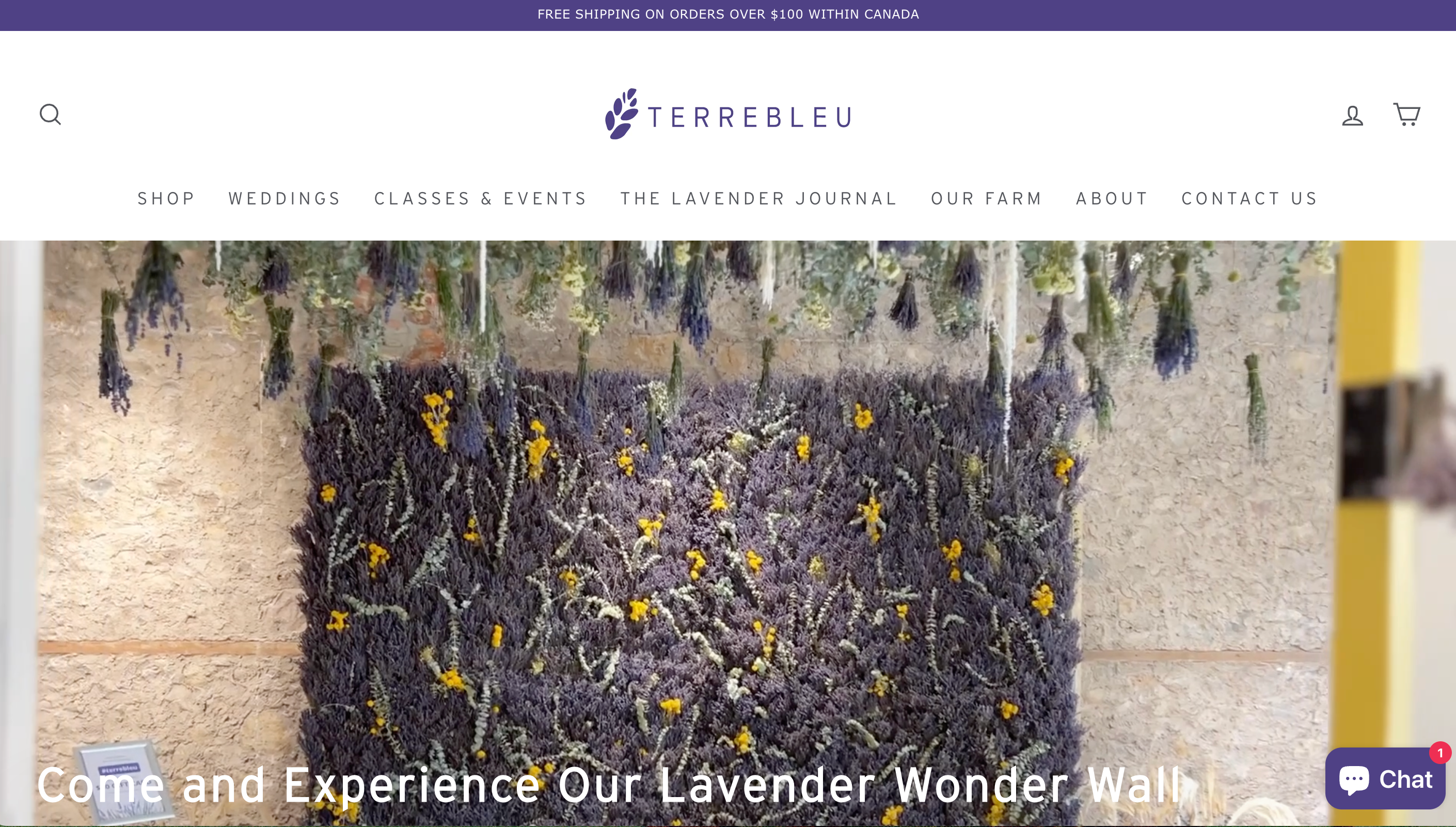 Terre Bleu Shopify storefront homepage